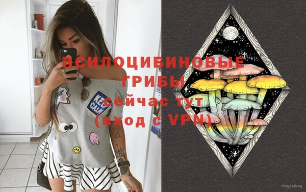 марки lsd Заводоуковск