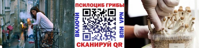 Галлюциногенные грибы Magic Shrooms Кущёвская