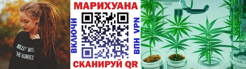 Купить закладки  Кущёвская  Бошки марихуана сатива 